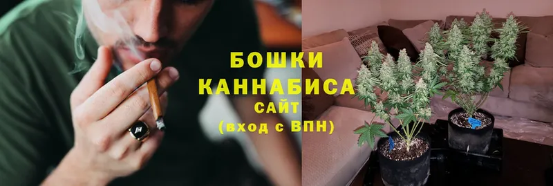 сколько стоит  Партизанск  Каннабис SATIVA & INDICA 